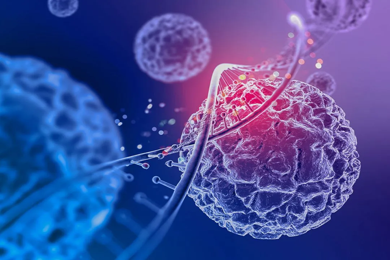 Exosomes vs Stem Cells: Differences & Utility (2026)