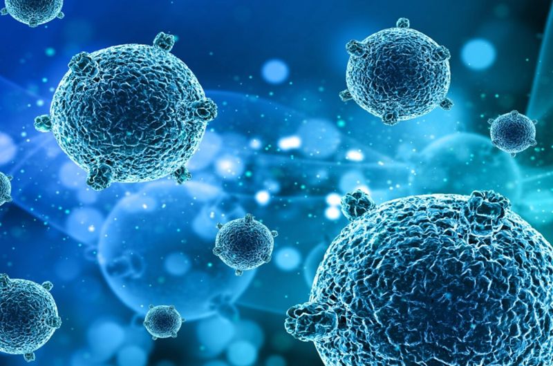 What Are Exosomes?