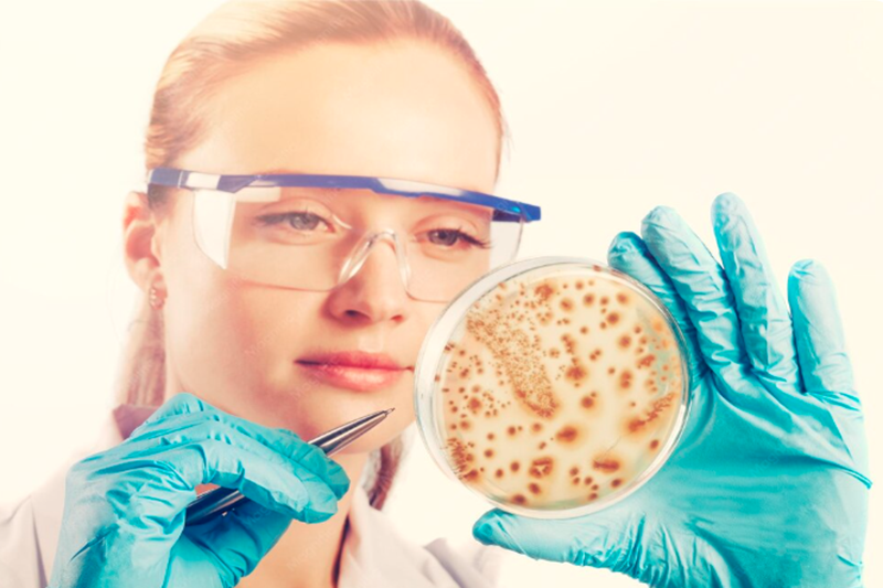 What Are Stem Cells?
