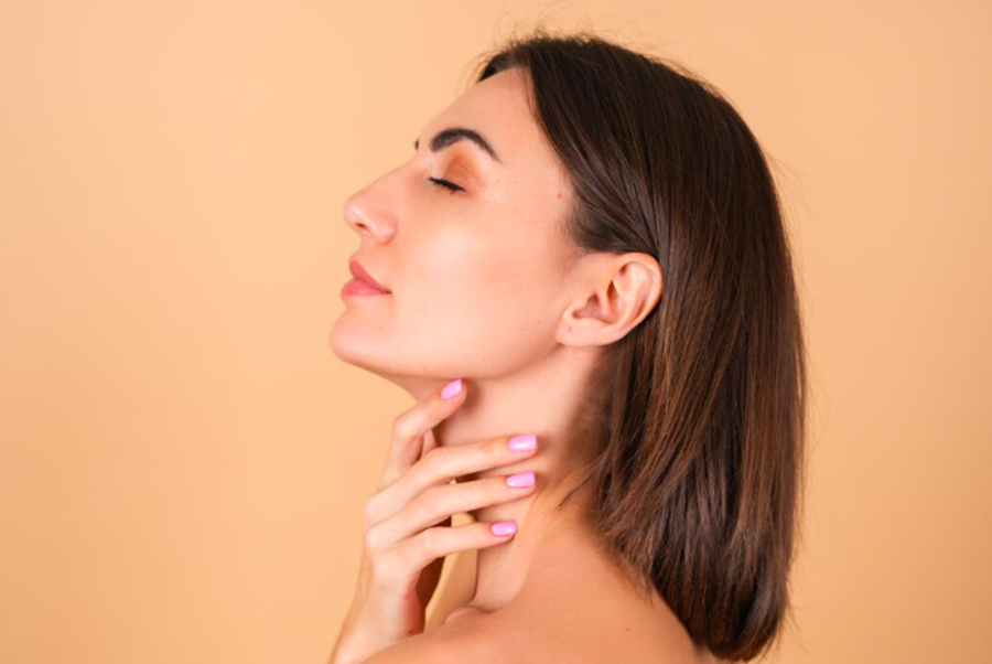 Understanding the Masseter Muscle
